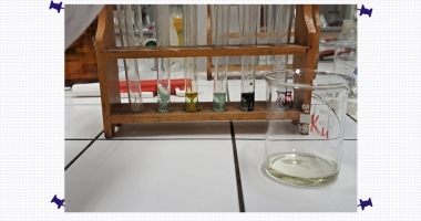 Březnové kroužky pro ZŠ a SŠ